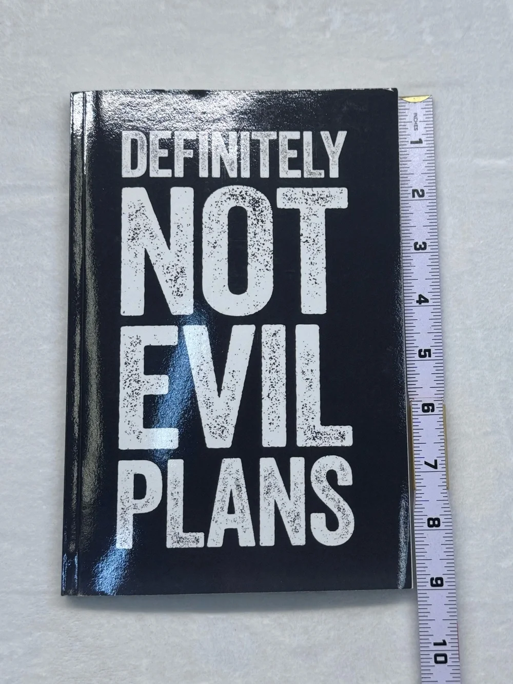 Definitely Not Evil Plans Black Notebook